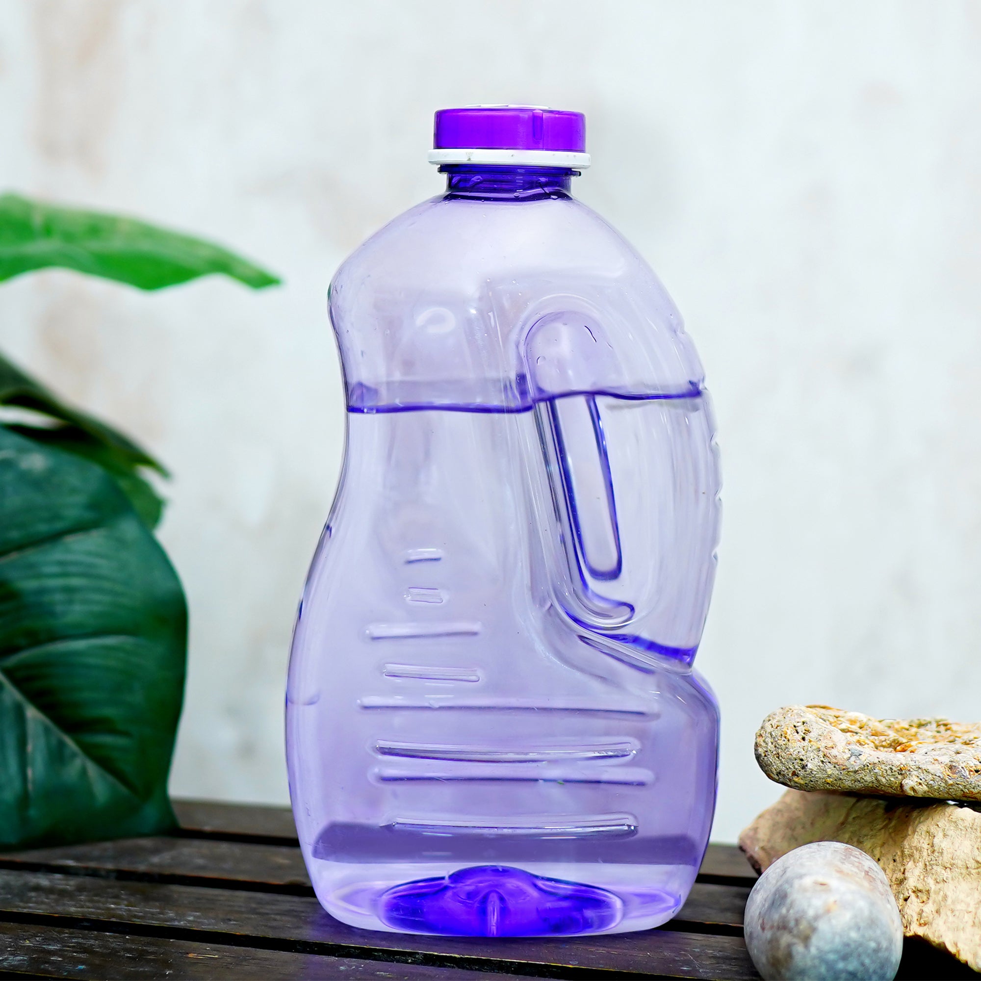 Big Purple Crown Water Bottle for Fridge