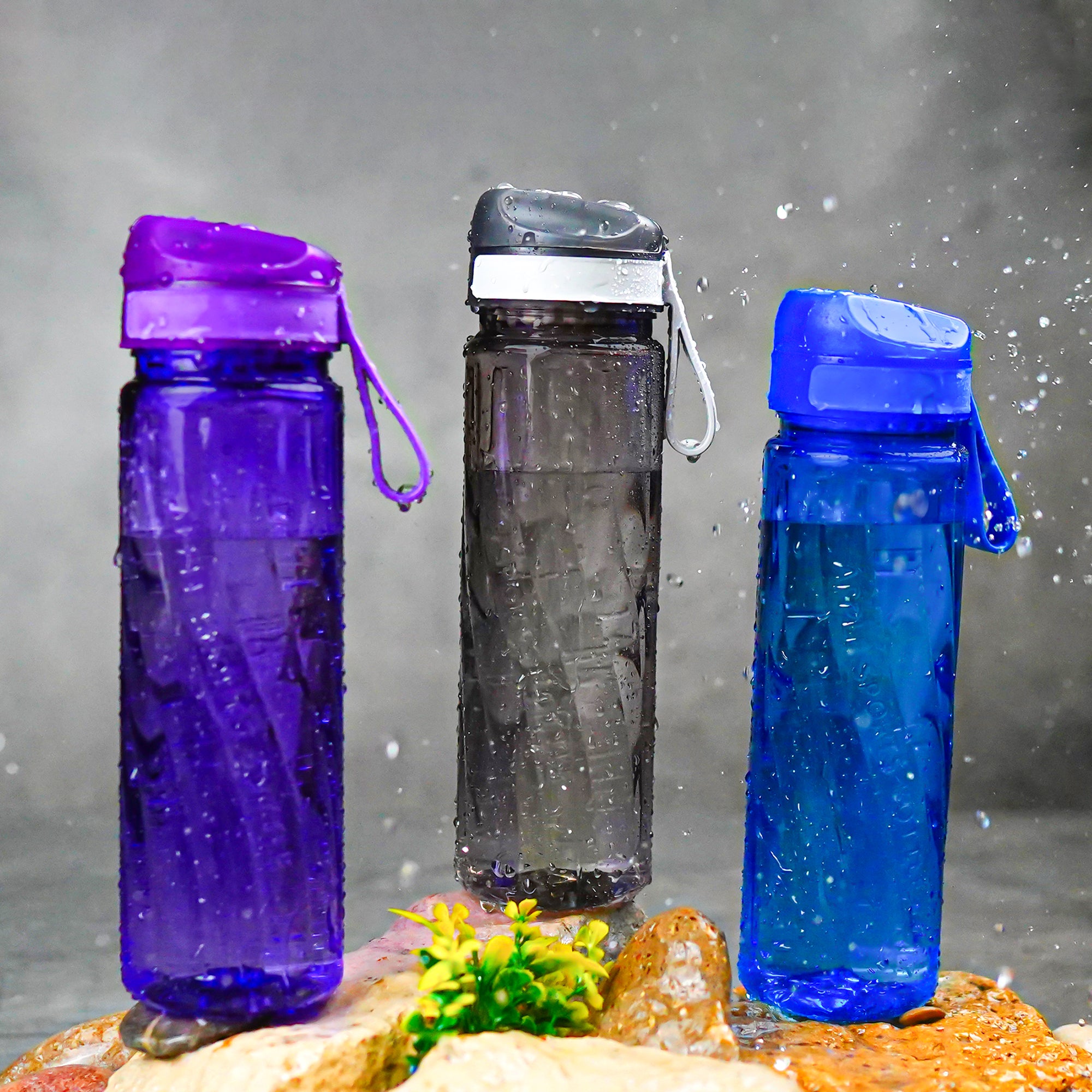 School Bottle 01